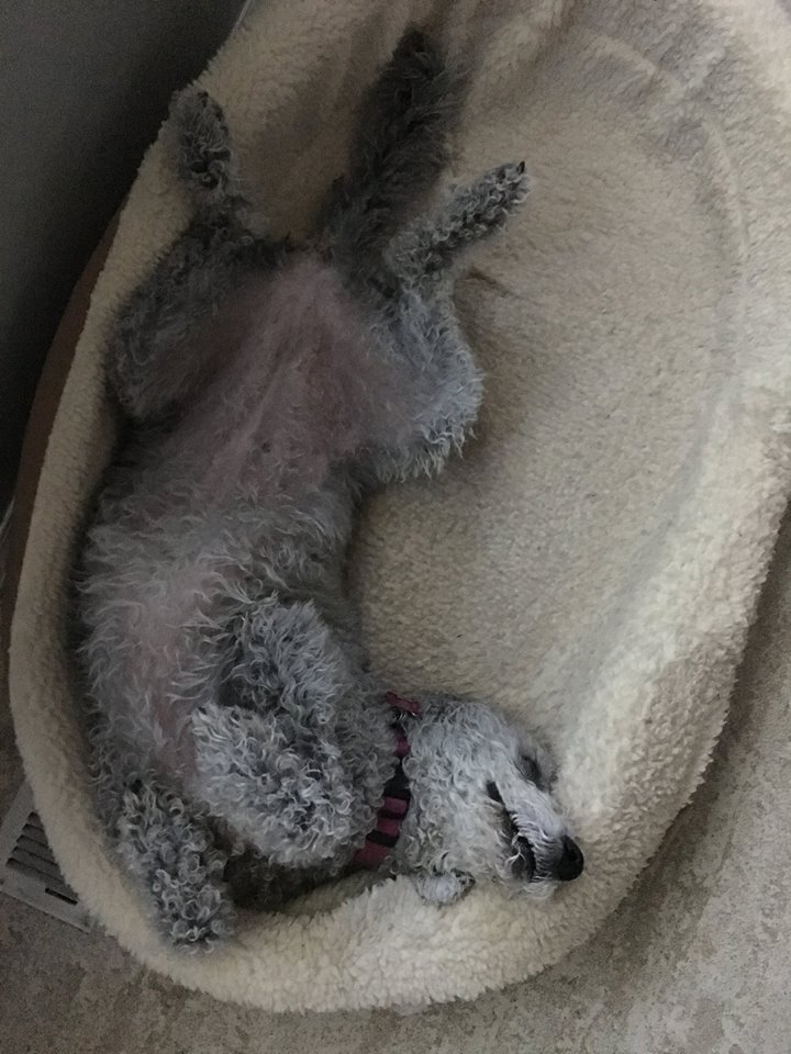 23318951_1912665458767806_1371889018636962947_n